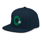 Snapback Hat - Image 11